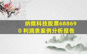 纳微科技股票688690 利润表案例分析报告